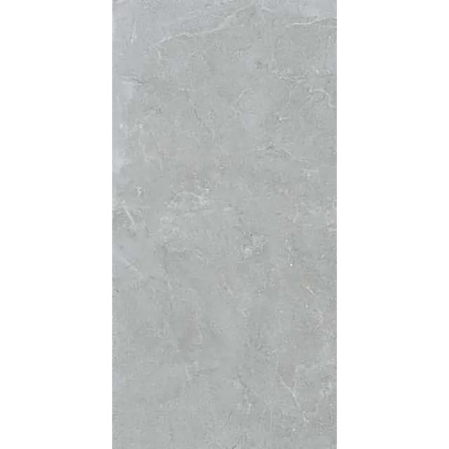 Bodenfliese Feinsteinzeug Grau Glasiert Matt 60 cm x 120 cm