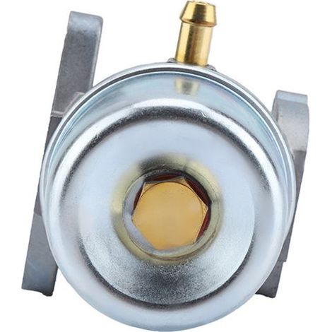 Bellerise – Vergaser – 497586 498170 799868 498254 497314 – Erstausrüsterqualität – Garten, Rasenmäher