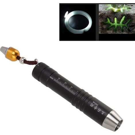 Bellerise – Identifikationslampe – Jy-37 – 3 Leuchten, 22 Mm – Tragbar – Jade Und Schmuck