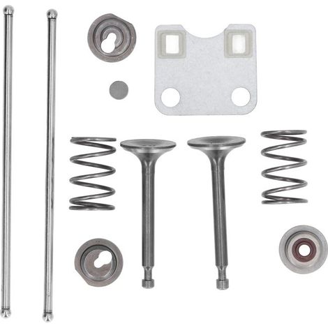 Bellerise – Ventildeckel-kit + Federn – 14791-ze1-010 – Für Gx160 Gx200 5,5 Ps 6,5 Ps Motoren