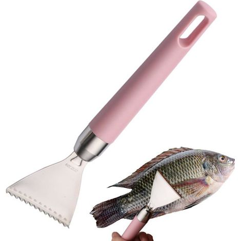 Bellerise – Universeller Fischschuppenschaber, Küchenzubehör Aus Edelstahl – Schuppenschaber Und Reibe