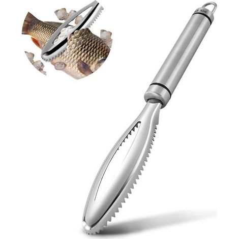 Bellerise – Professioneller Fischschuppenschaber Aus Edelstahl 304 Mit Schabefunktion.