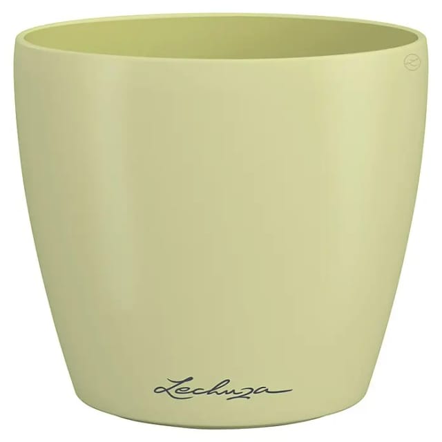 Lechuza® Pflanzgefäß Classico Color Ø 13 cm x 12 cm Single Linde