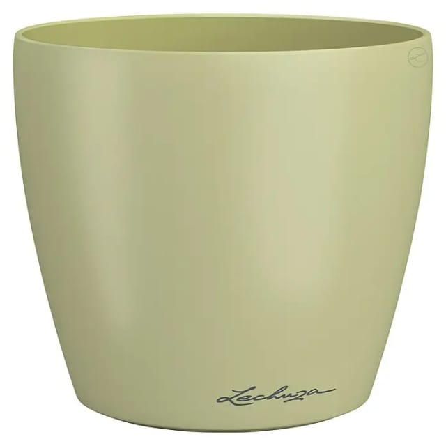 Lechuza® Pflanzgefäß Classico Color Ø 15 cm x 13,5 cm Single Linde
