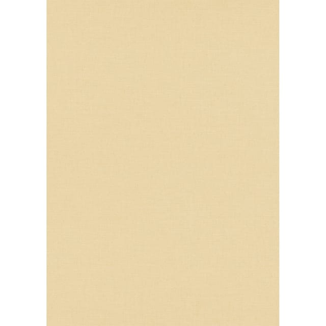 Erismann Vliestapete Casual Chic 10,05 m x 0,53 m Uni Beige