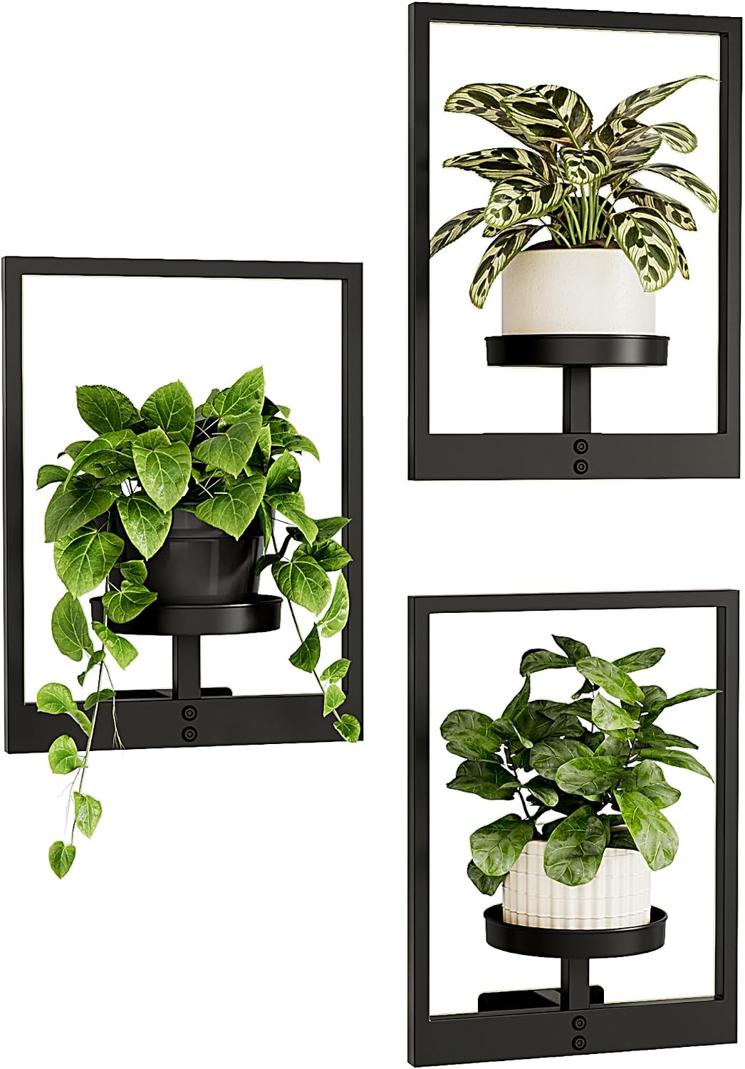 Pflanzenständer Für Den Innenbereich, Wandpflanzenhalter – 3er-set Hängeregale Mit Design-topfhaltern, Wandpräsentation Für Blumentöpfe Und Wohnaccessoires