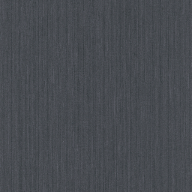Erismann Vliestapete Guido Maria Kretschmer Fashion for Walls Uni Schwarz