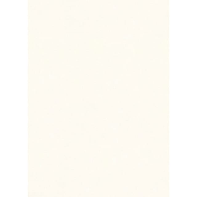 Marburg Vliestapete Uni Putzoptik Beige 8,1 m x 0,46 m FSC®