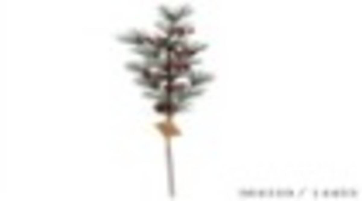 Tannenzweig Mini-schneebeere - Feeric Lights & Christmas