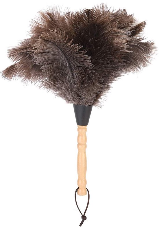 Dailygoods – Wiederverwendbares Staubtuch Aus Straußenfedern Mit Holzgriff