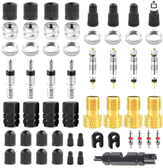 Set Mit 55 Französischen Ventileinsätzen, Geeignet Für Rennrad- Und Mountainbike-ventile.
