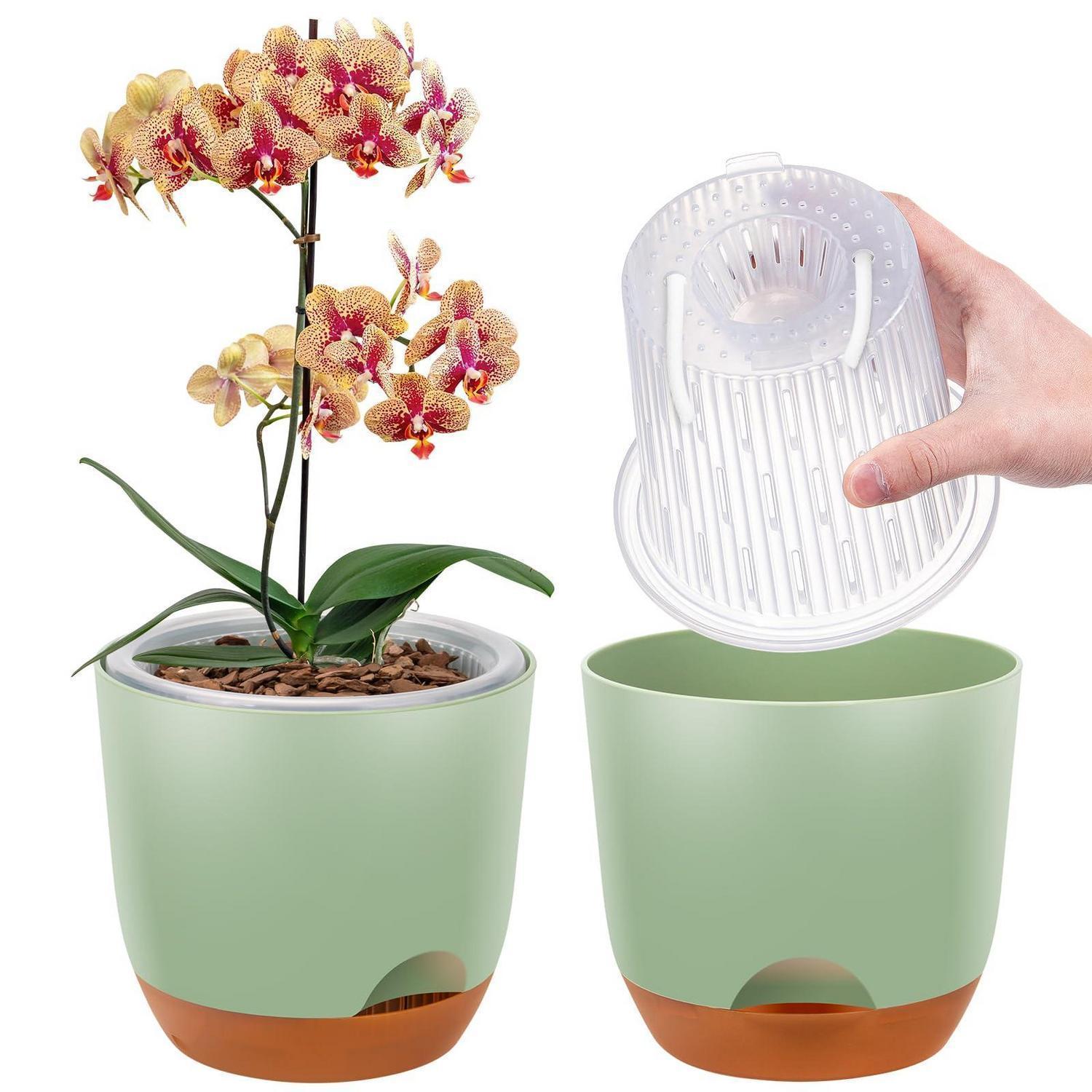 2er-set Orchideentopf 18,2cm, Selbstbewässerung Mit Übertopf, Grün