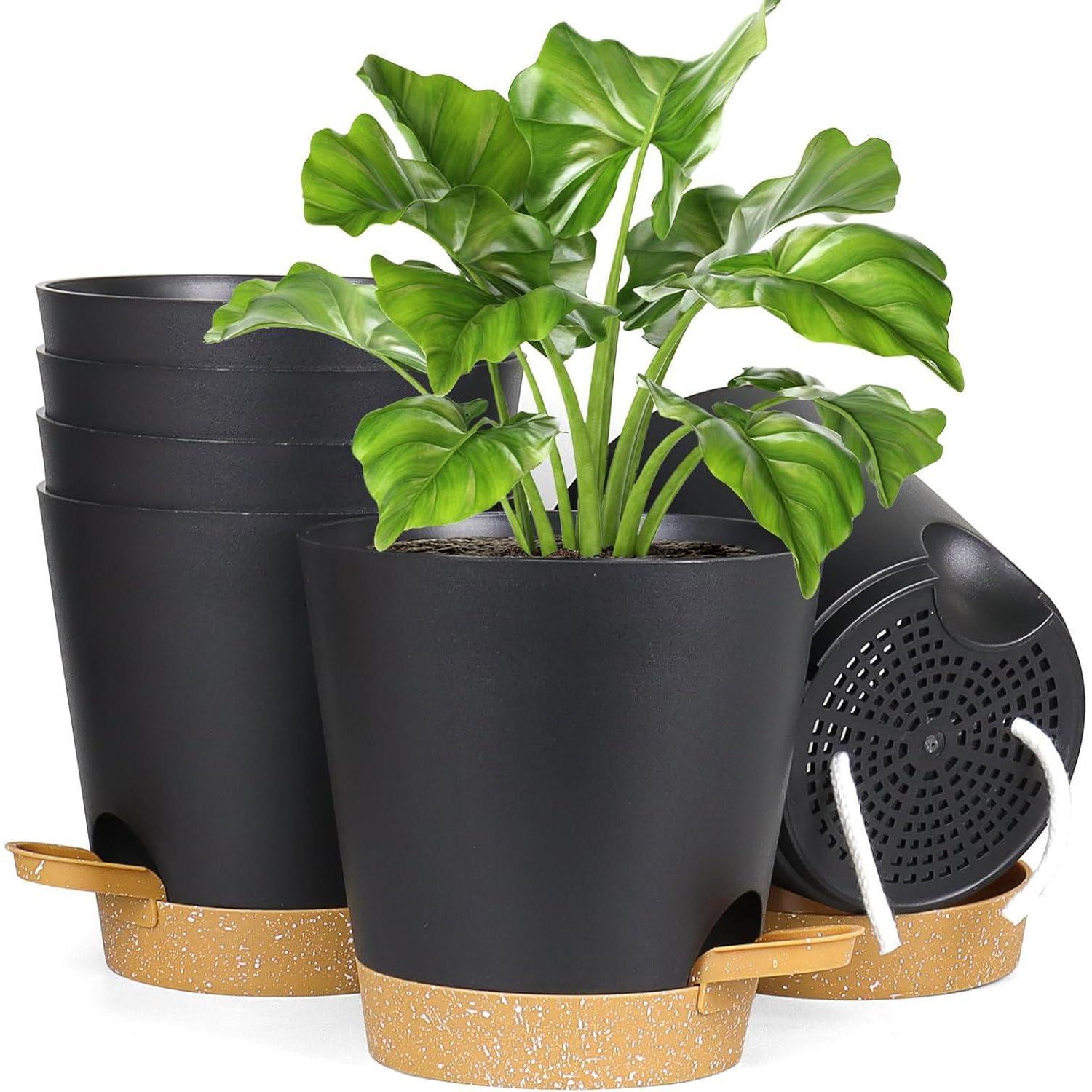 6er Set Selbstbewässernde Blumentöpfe 12.7cm Mit Untersetzer Schwarz