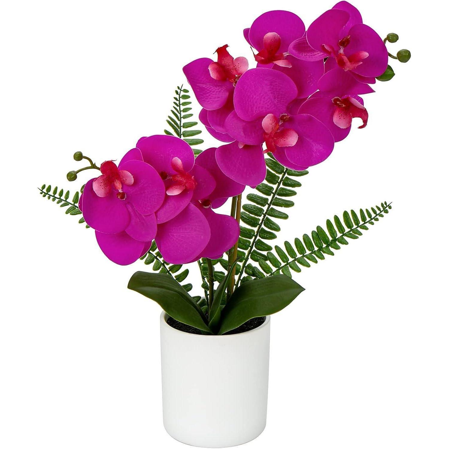 Kunstorchidee Phalaenopsis Im Keramiktopf, 40,5cm, Weiß/rosa/violett