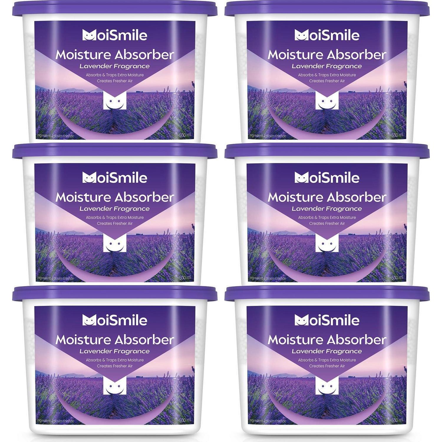 Feuchtigkeitsabsorber Lavendel Duft 6er Pack Für Schrank, Bad, Auto