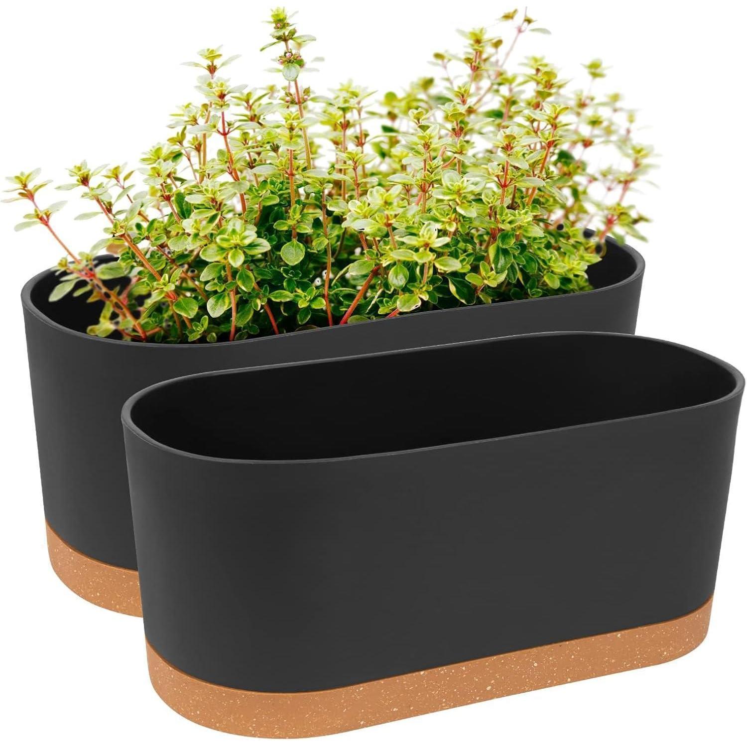 2er Set Fensterboxen Mit Selbstbewässerung, 40cm, Grau, Für Zimmerpflanzen & Kräuter