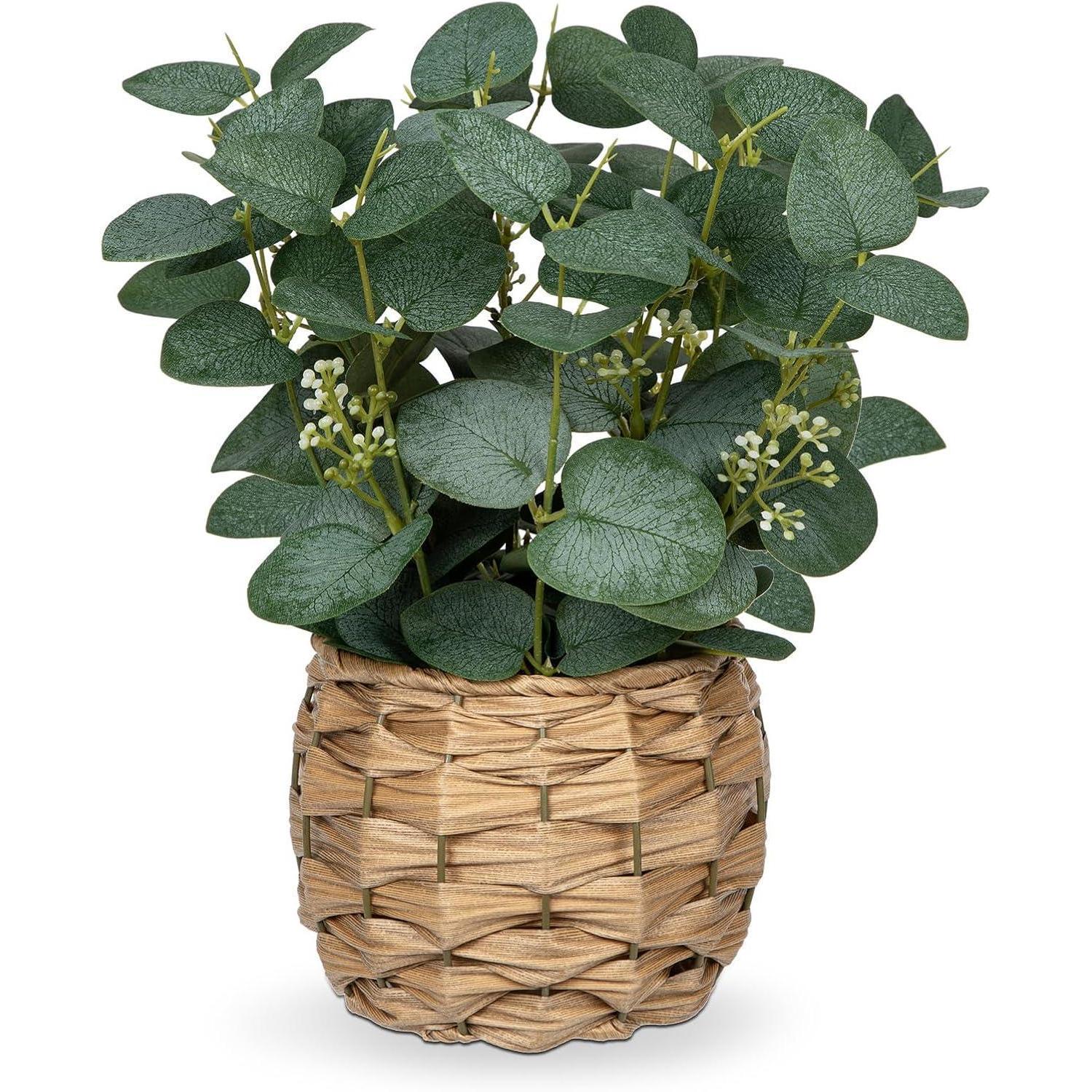 Kunstpflanze Eukalyptus Im Topf, 28 Cm, Grün, Dekoration Für Zuhause