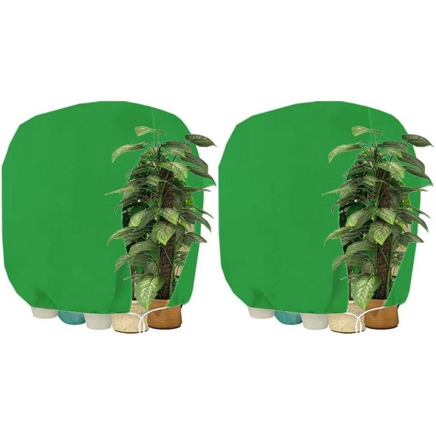 Pflanzenschutzhaube 2 Stück 190x220cm Atmungsaktiv Reißfest Für Palmen & Balkonpflanzen