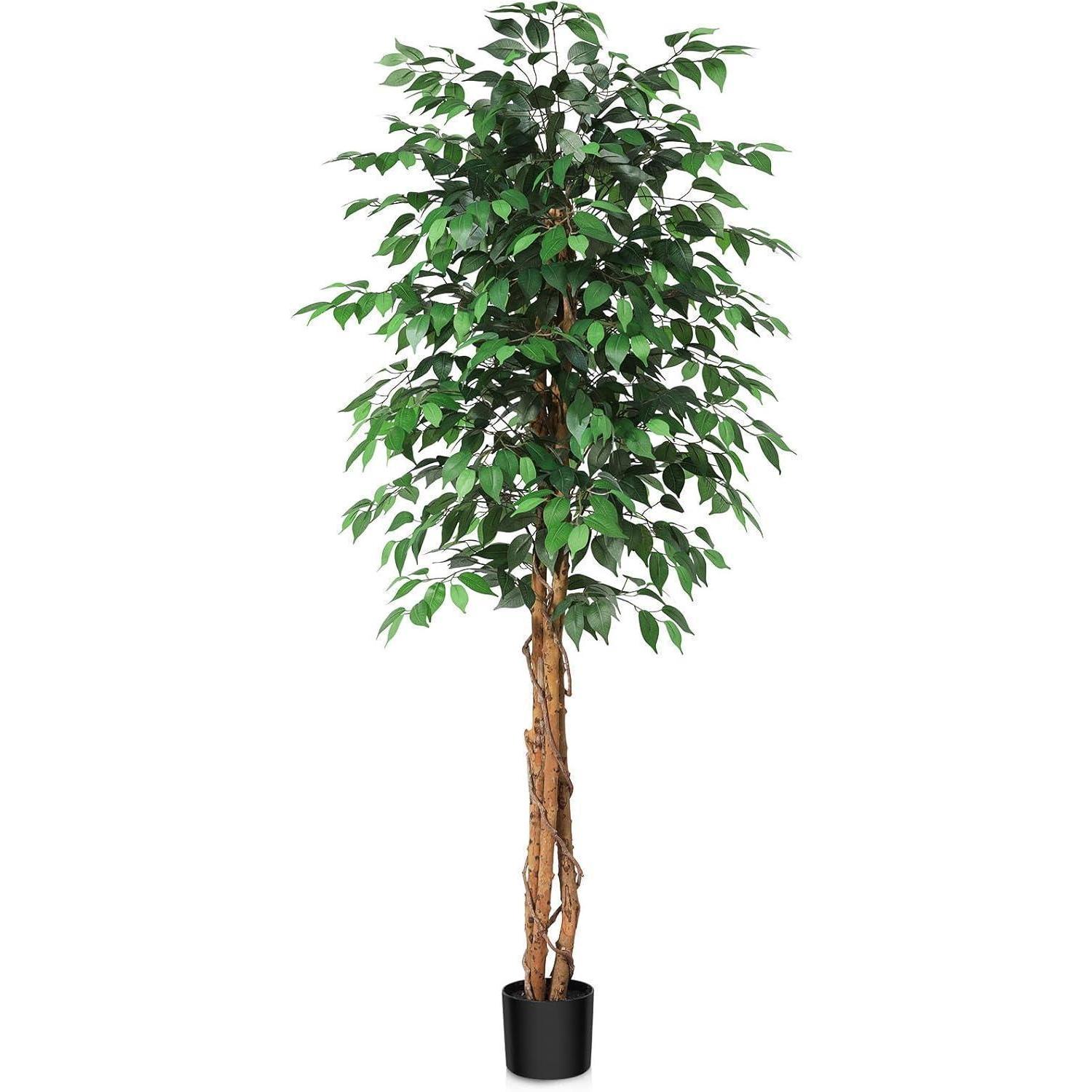 Kunstbaum Ficus 180 Cm Mit Naturholzstamm Für Innen & Außen