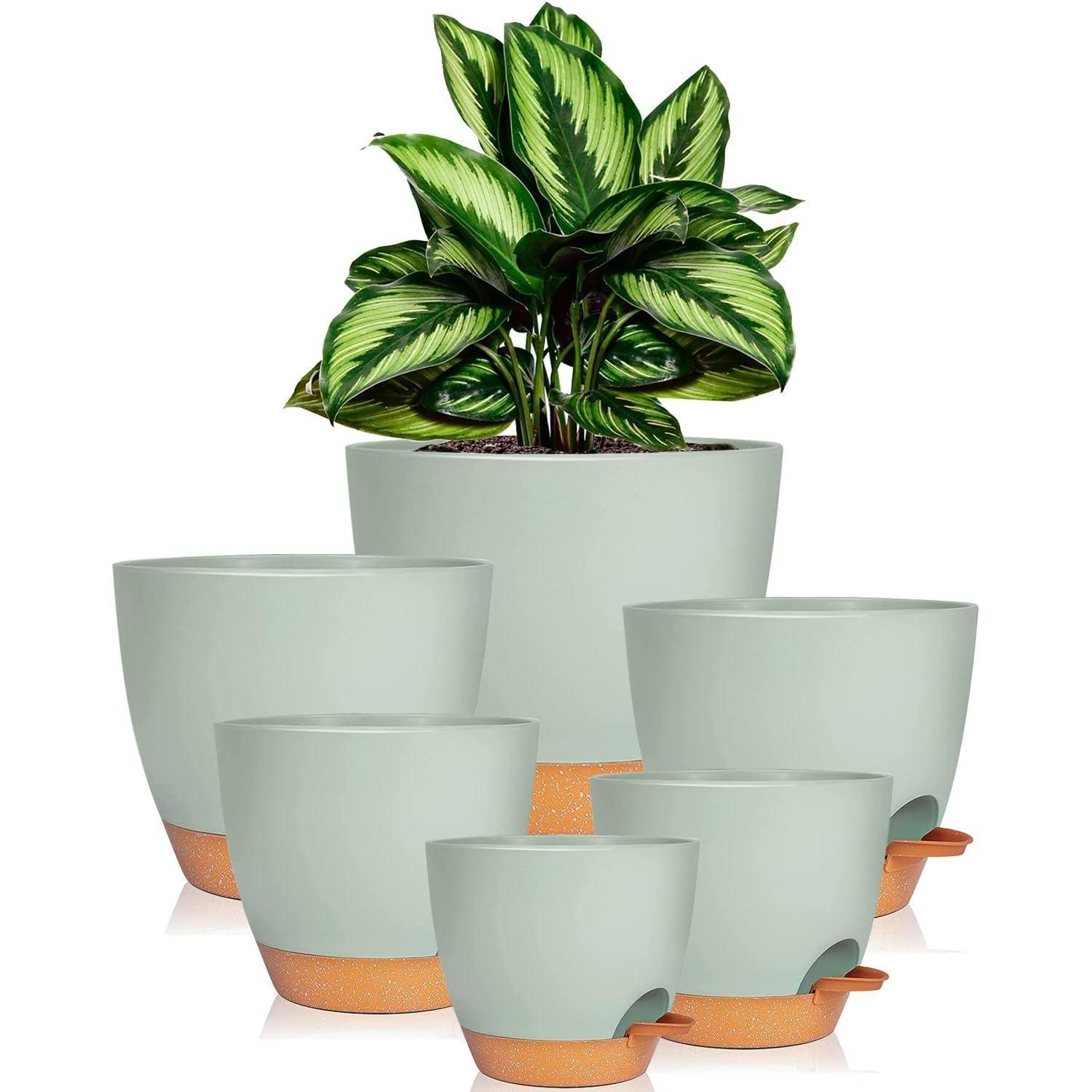 Blumentopf-set Mit Untersetzer, 6er-pack, Selbstbewässerung, Für Kräuter & Sukkulenten