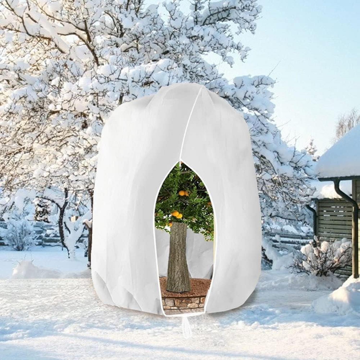Pflanzenschutzhaube Winterschutz 280x300cm Atmungsaktiv Reißfest Für Bäume Und Palmen