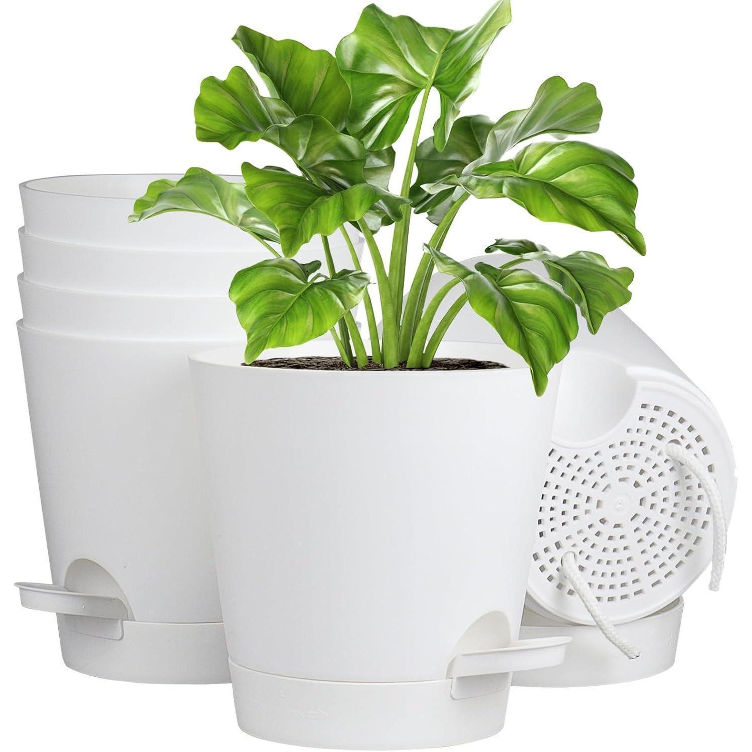 6er Set Selbstbewässernde Blumentöpfe 12.7cm Mit Untersetzer Für Innen & Balkon