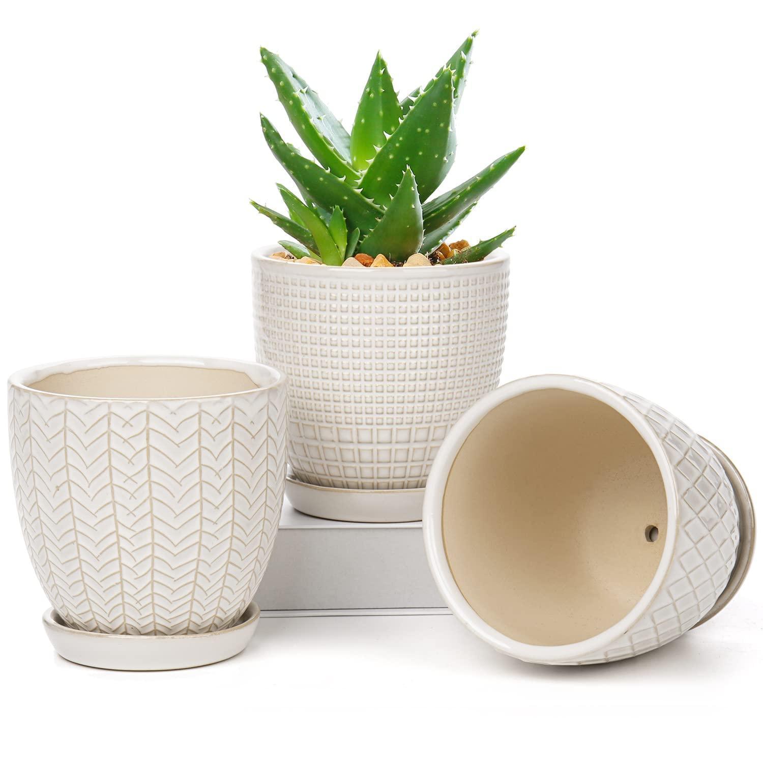 Keramik Blumentöpfe 3er Set Mit Untertasse, Ø 11,2cm, Für Sukkulenten & Kakteen