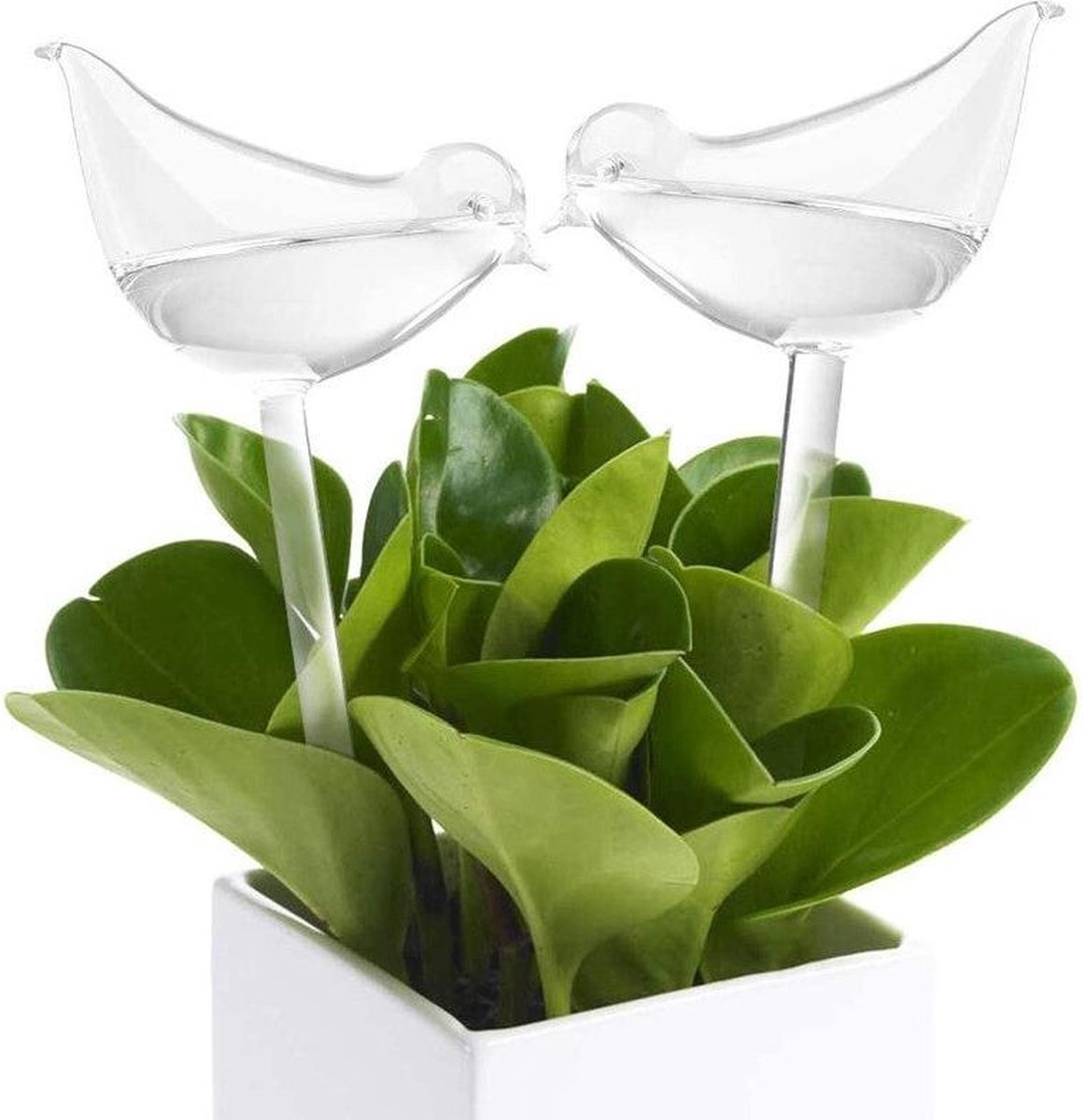 Luxuriöser Pflanzentropfer – Vogel-wasserball – Bewässerungssystem Für Pflanzen Und Blumen – 200 Ml – 2er-set