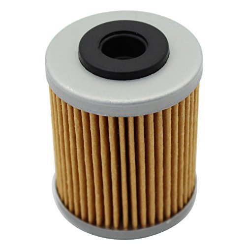 Ölfilter Passend Für 525 Exc 525 (2005) / Exc Racing 525 (2003-2004)