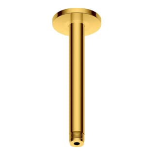 Duravit Brausearm 200mm, gol pol., Deckenanschluss, rund