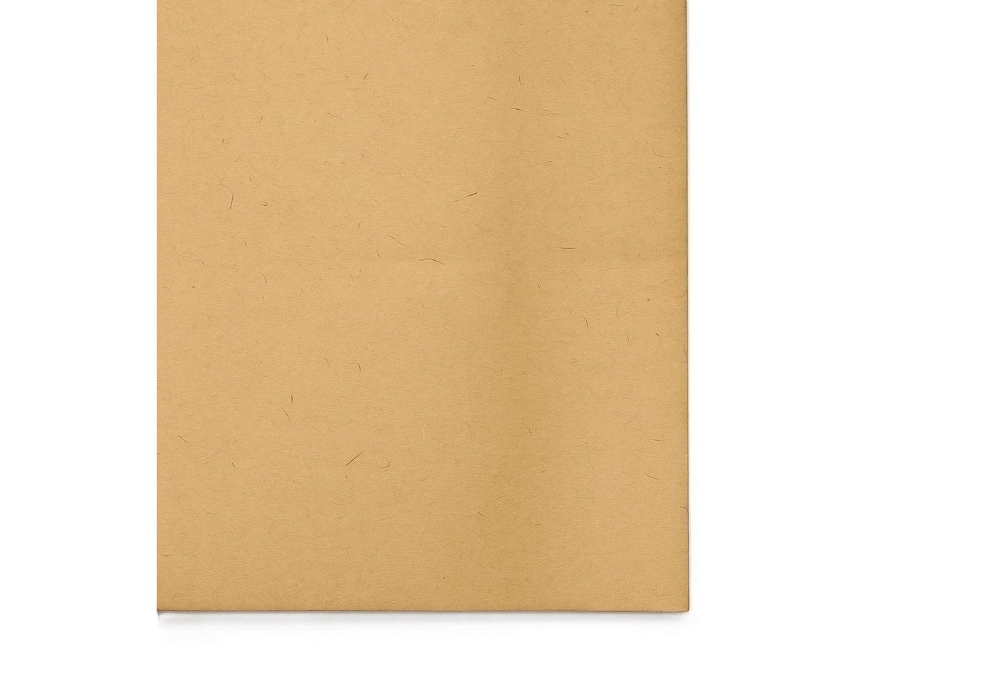 Reinica Staubsaugerbeutel 10 Papier-Staubsaugerbeutel für Hitachi CV 400 P Pro Staubbeutel, passend für Hitachi, 10 St. Bild 4