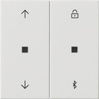 Gira Jalousie- + Schaltuhr Bluetooth Sys.55 rws 536703