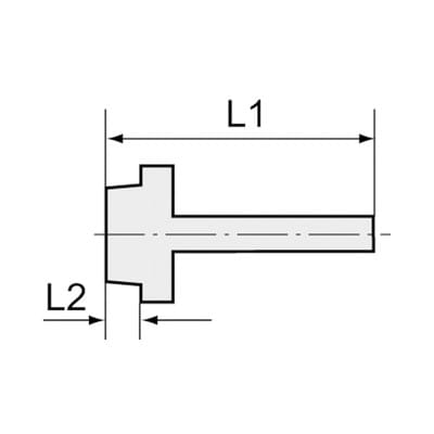 Riegler Einschraubschlauchtülle, G 1/4, für Schlauch LW 8 mm, SW 17, MS