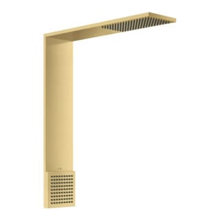 hansgrohe Brausenmodul ShowerComposition 250x250mm, Wd, 1j, m SB, brush. gol opt
