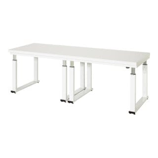 Rau Werkbank elektrisch höhenverstellbar, B2500xT700xH740-1140mm, HPL-Platte-40 mm