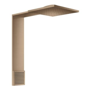 hansgrohe Brausenmodul ShowerComposition 250x250mm, Wd, 2jet, m SB, brush. r gol