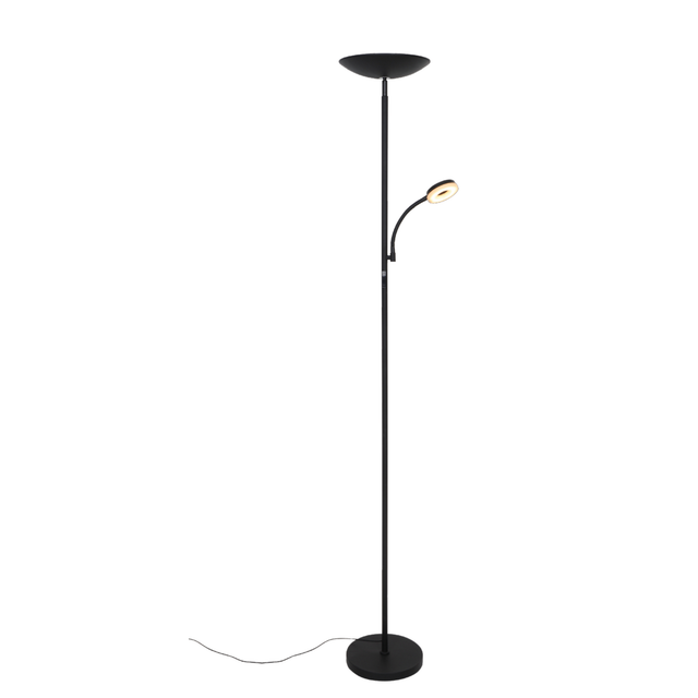 toom LED-Stehleuchte 'Erica' schwarz 2-flammig 178 cm