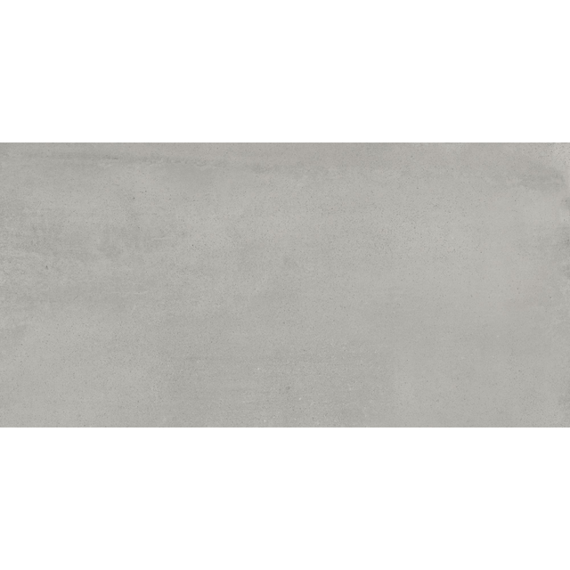 Bodenfliese 'Raw' Feinsteinzeug grau 30 x 60 x 0,85 cm