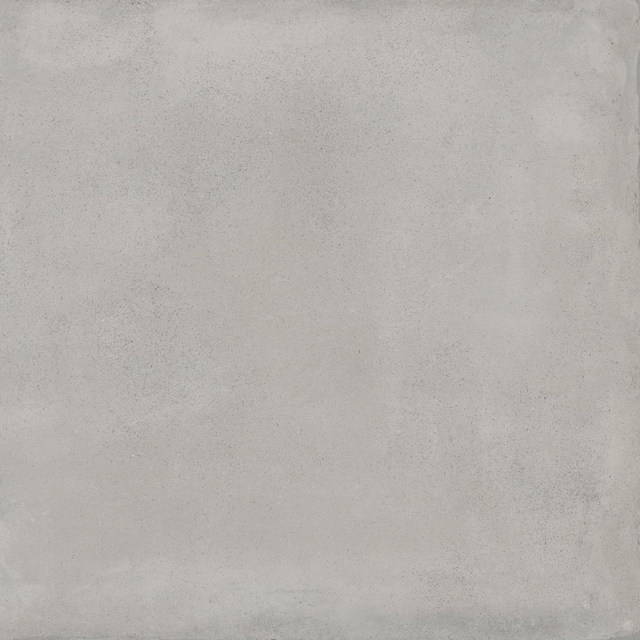 Bodenfliese 'Raw' Feinsteinzeug grau 60 x 60 x 0,85 cm