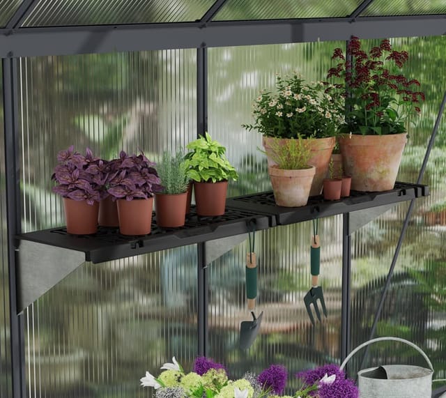 Palram-Canopia Regalset für Gewächshaus anthrazit 26 x 65 cm Polypropylen, 2er-Pack