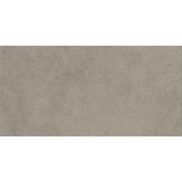 Bodenfliese 'Base' Feinsteinzeug grau 29,8 x 59,8 x 0,8 cm