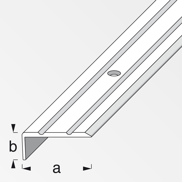 alfer Abschlussprofil 25 x 10 mm x 1 m