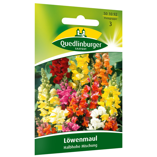 Löwenmaul halbhohe Sorten, Mischung