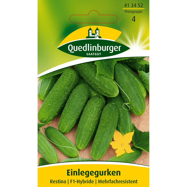 Quedlinburger Einlegegurke 'Restina'