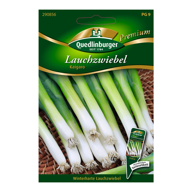 Quedlinburger Lauchzwiebel "Kaigaro
