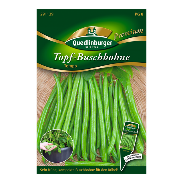Quedlinburger Topf-Buschbohne "Tempo" 100 Stück
