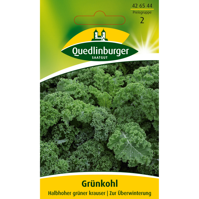 Quedlinburger Grünkohl 'Halbhoher grüner krauser'