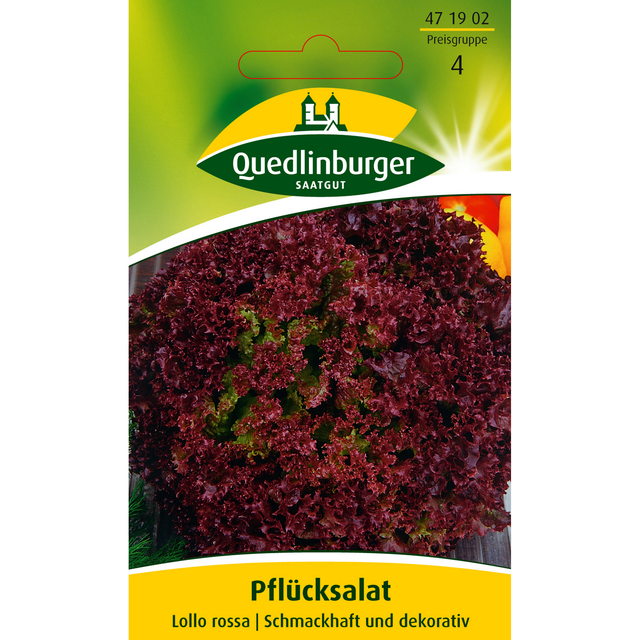 Quedlinburger Pfuecksalat 'Lollo rossa'