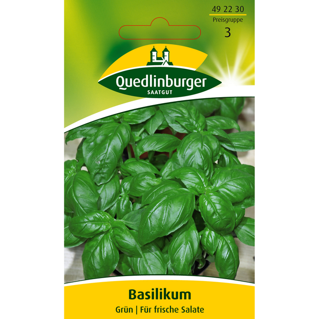 Quedlinburger Basilikum Grün