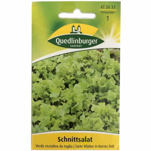 Quedlinburger Schnittsalat 'verde ricciolina da taglio'